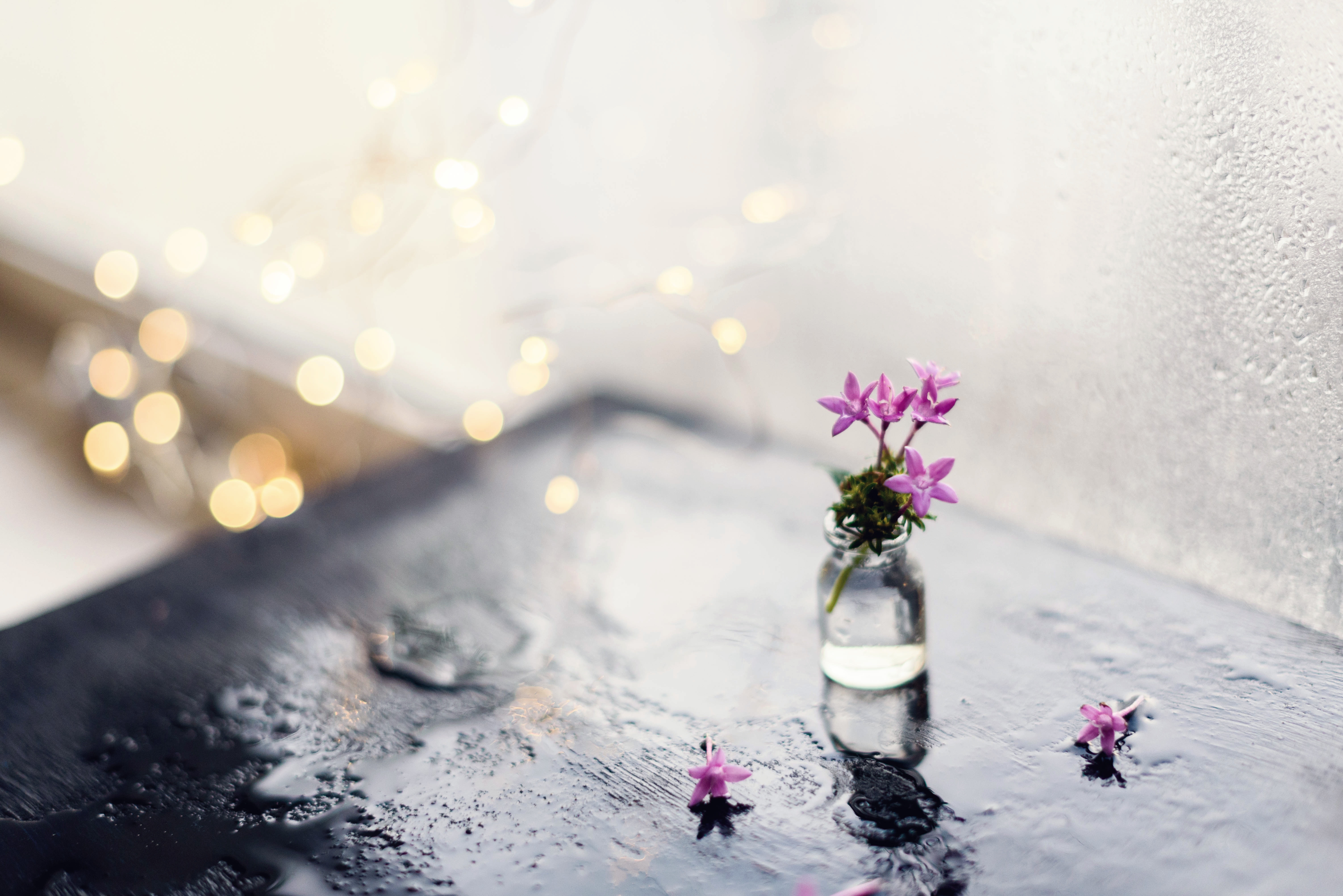 This little light of mine, I’m gonna let it shine…Let it shine, let it shine, let it shine